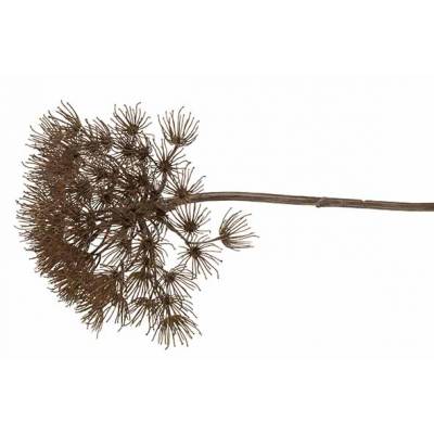 Decotak Heracleum Branch Grey 80cm  80cm Kunststof 