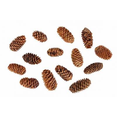 Strooideco Pine Cone 100gr  Natuur 15x15 Xh9cm Hout  Cosy @ Home