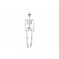 Skelet Posable Grijs 22x11xh90cm Kunstst Of 