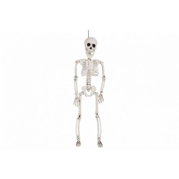 Skelet Hanger Grijs 12x6xh45cm Kunststof  