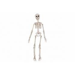 Skelet Posable Natuur 10x4xh48cm Kunstst Of 