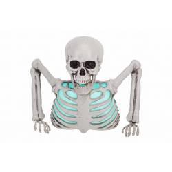 Buste Skeleton With Light Natuur 25x12xh 20cm Kunststof Incl 3 Lr44 Batt 