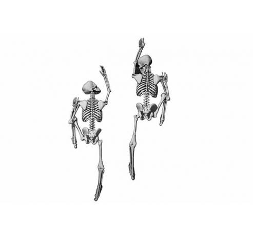 Collant Deco Climbing Skeleton 2pcs Natu Rel 50xh160cm Polyester  Cosy @ Home