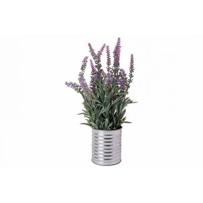 Lavendel In Pot Lila 15x15xh33cm  
