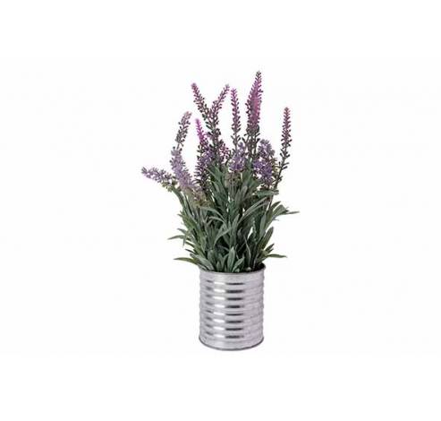 Lavendel In Pot Lila 15x15xh33cm   Cosy @ Home