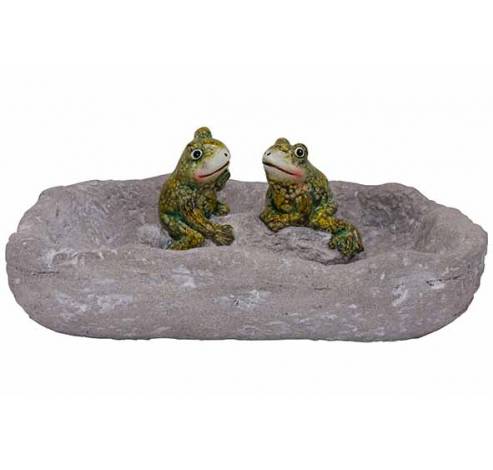 Schaal Birdbath 2 Glazed Frogs Grijs 34, 3x26,1xh14,7cm Rechthoek  Cosy @ Home