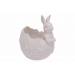 Bowl Egg-shaped Bunny Wit 12,8x13,3xh15, 6cm Langwerpig Dolomiet 