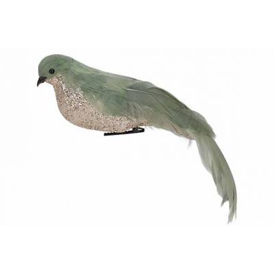 Vogel Clip Feathers Champagne Groen 7x24 Xh7cm Andere Veren  Cosy @ Home