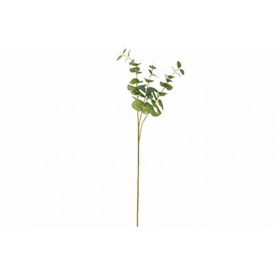 Branche Eucalyptus Vert 12x12xh75cm Autr E Plastic  Cosy @ Home