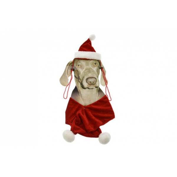 Kerstpakje Voor Hond Muts+sjaal  