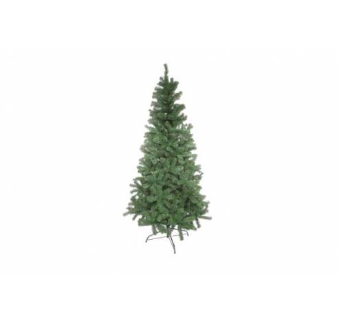 BOOM WOODLAND PINE 240CM D125CM 1315T  Cosy @ Home
