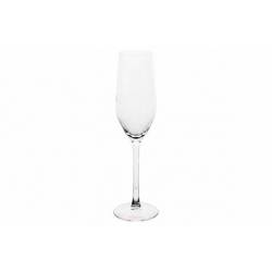 Jaia Champagneglas Set12 16cl  