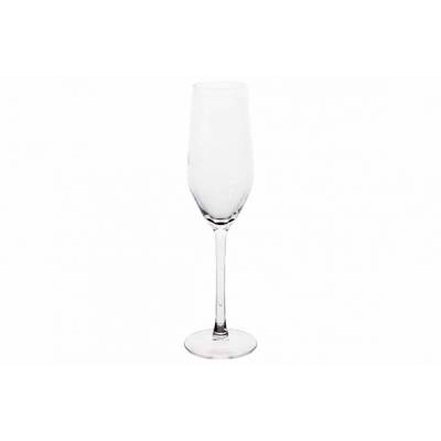 Jaia Champagneglas Set12 16cl   Arcoroc