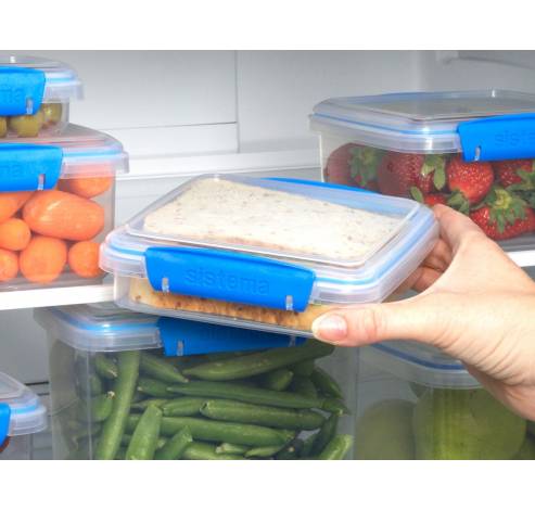 Fresh set van 3 sandwich lunchboxen blauw 450ml  Sistema