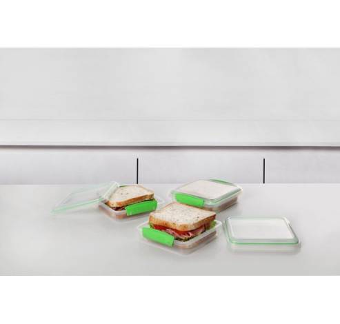 Fresh set van 3 sandwich lunchboxen groen 450ml   Sistema