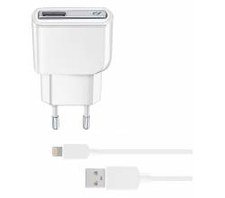 Reislader kit 10W lightning Apple iPad wit Cellularline