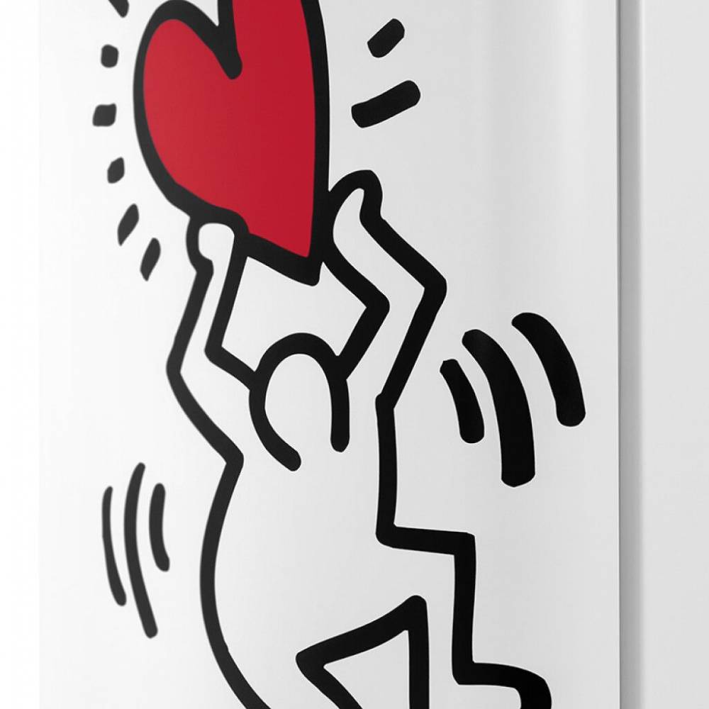 Schneider Koelkast vrijstaand Keith Haring Koelvriescombinatie 249L Wit