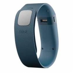 Fitbit Charge Slate Large 