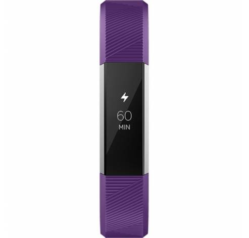 Ace Paars  Fitbit
