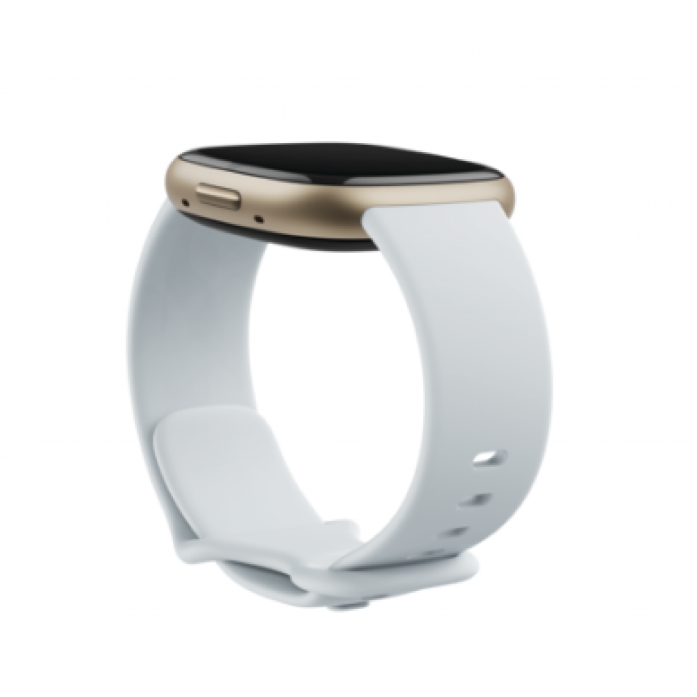 Fitbit Smartwatch Fitbit Sense 2 blue mist/soft gold