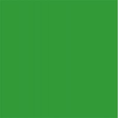 Achtergr.pap.46 Chroma Green 1.38X11M 
