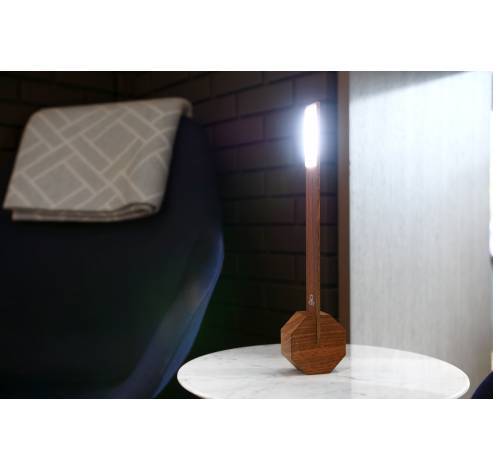 Octagon One Desk Lamp Walnut  Gingko