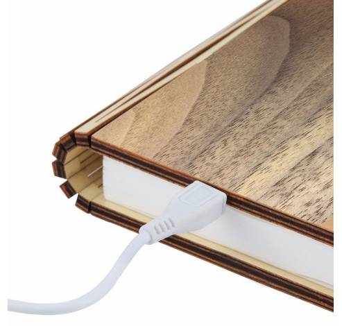 Mini Smart Book Light Walnut LED  Gingko