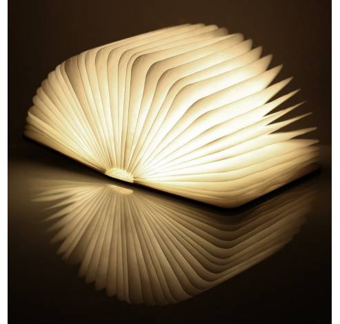Mini Smart Book Light Walnut LED  Gingko