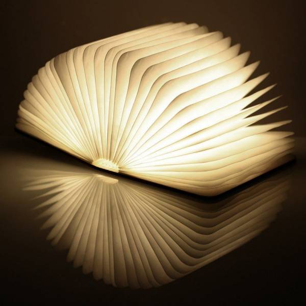 Smart Book Light Walnut LED 