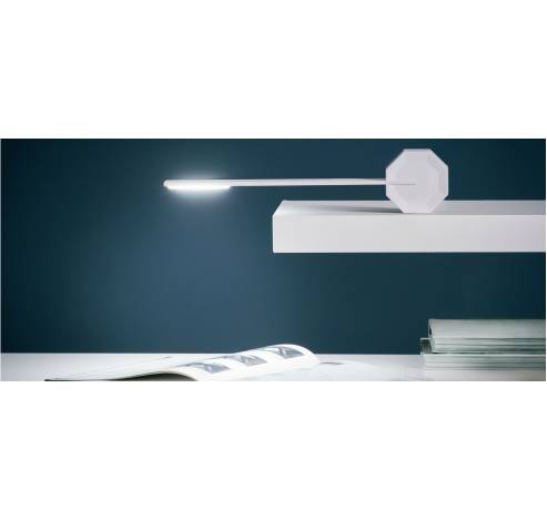 Octagon One Desk Lamp White  Gingko