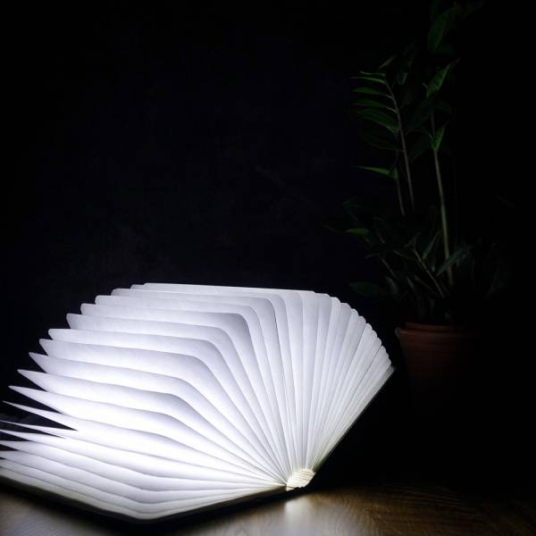 Smart Book Light Maple LED 