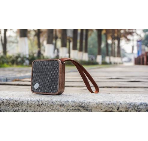 Mi Square Bluetooth Speaker natural walnut wood  Gingko