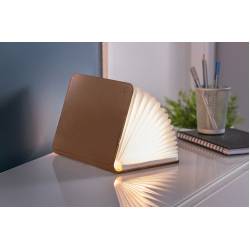 Gingko Smart Book Light Leather Brown 