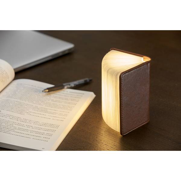 Mini Smart Book Light Leder Brown 
