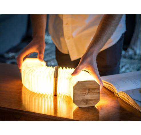 Smart Accordion Lamp Bamboo LED  Gingko