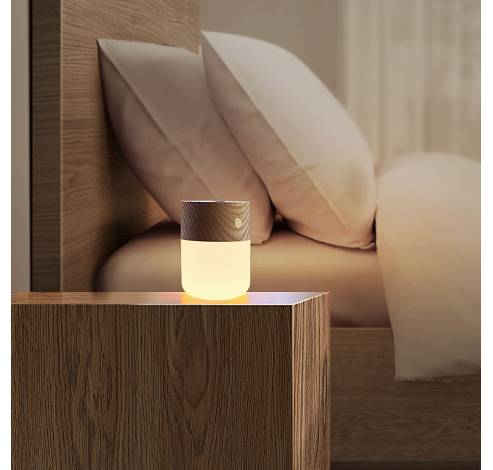 Smart Diffuser Lamp Natural white ash wood  Gingko