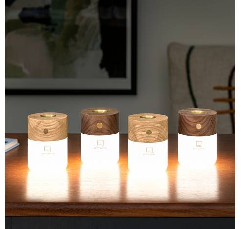 Smart Diffuser Lamp Natural white ash wood  Gingko