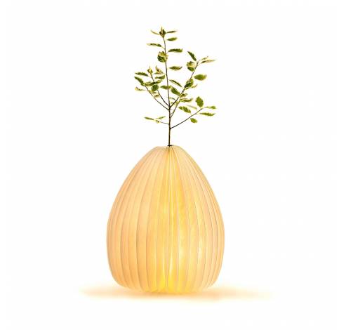 Smart Vase Light Natural walnut wood  Gingko