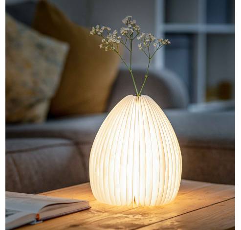 Smart Vase Light Natural walnut wood  Gingko