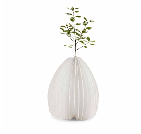 Smart Vase Light Natural walnut wood  Gingko