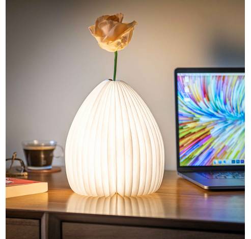 Smart Vase Light Natural walnut wood  Gingko