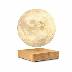 Gingko Smart Moon Light Natural walnut wood 