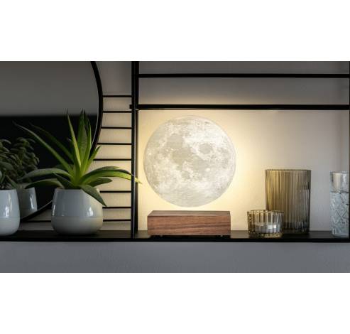 Smart Moon Lamp Natural white ash wood  Gingko