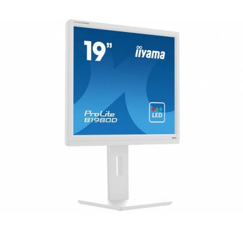 Prolite 19inch betrouwbare LED-backlit monitor met in hoogte verstelbare voet, ontworpen voor zakelijk gebruik Wit  Iiyama