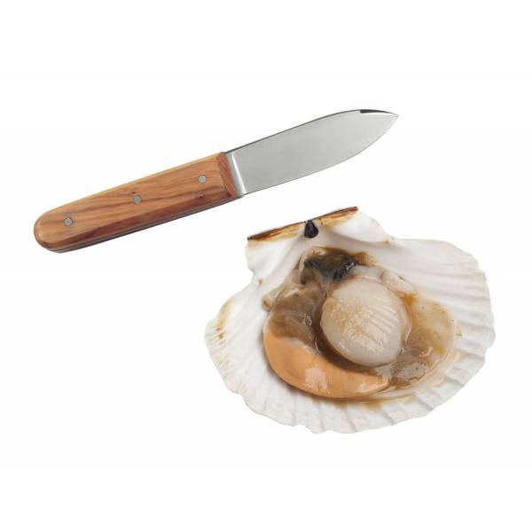 Mes voor Coquilles St-Jacques 