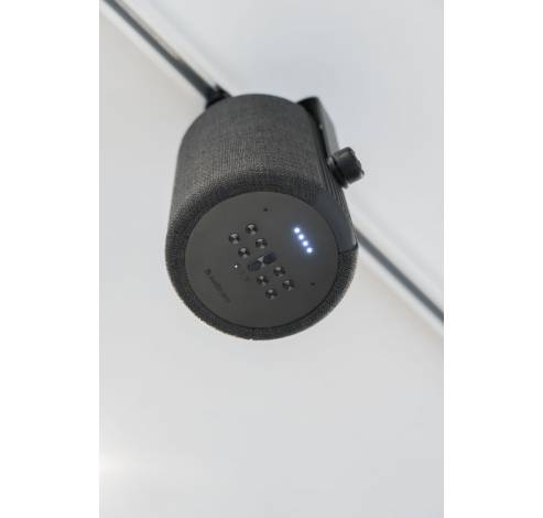 G10 Multiroom speaker Google Assistant and AirPlay 2 Dark Grey  Audio Pro