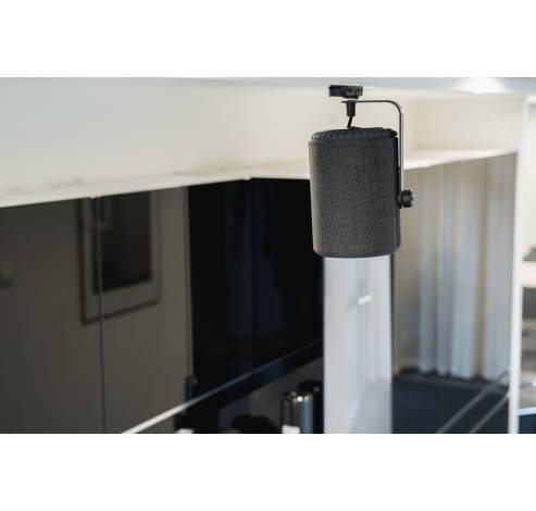 G10 Multiroom speaker Google Assistant and AirPlay 2 Dark Grey  Audio Pro