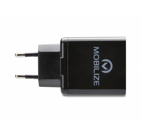 Smart travel charger Dual USB 4.8A 24W black  Mobilize