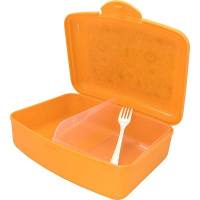 Boîte casse-croute avec diviseur + fourchette Lions 
