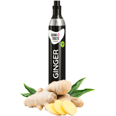 SodaTaste Ginger BIO CO² 60L  MySoda